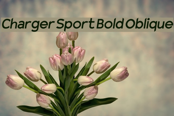Charger Sport Bold Oblique Font examples