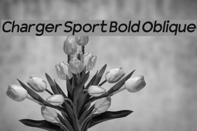 Charger Sport Bold Oblique Font examples