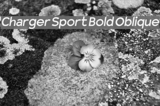 Charger Sport Bold Oblique Font examples