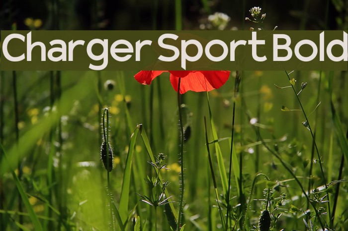 Charger Sport Bold Font examples