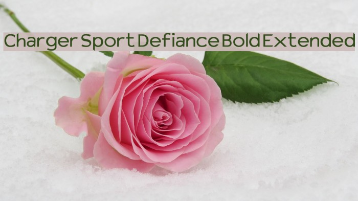 Charger Sport Defiance Bold Extended Fuentes examples