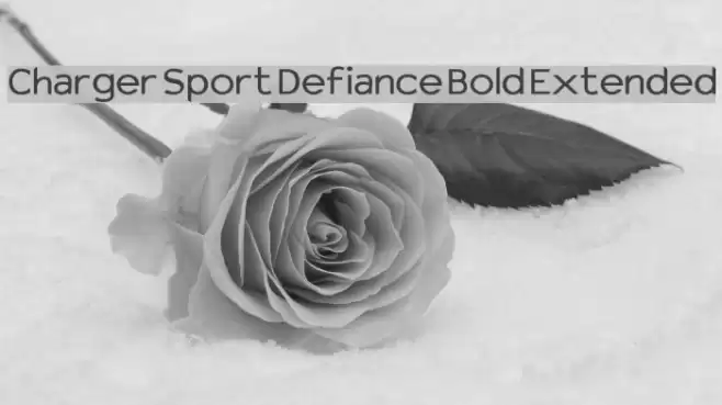 Charger Sport Defiance Bold Extended Fuentes examples