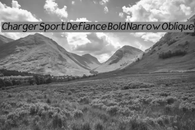 Charger Sport Defiance Bold Narrow Oblique Caratteri examples