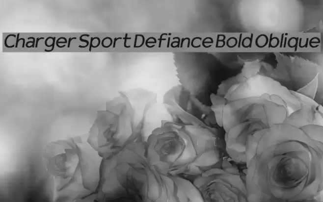 Charger Sport Defiance Bold Oblique Font examples