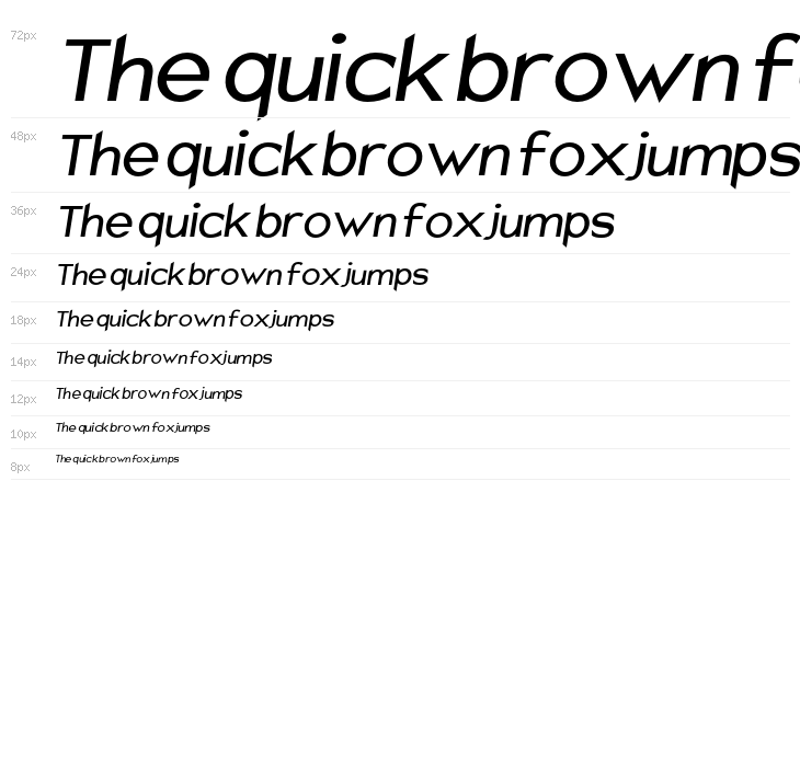 Charger Sport Defiance Bold Oblique Waterfall