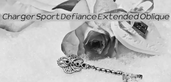 Charger Sport Defiance Extended Oblique examples