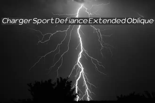 Charger Sport Defiance Extended Oblique examples
