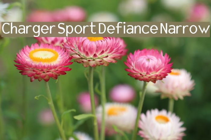 Charger Sport Defiance Narrow Font examples