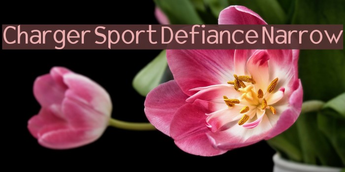 Charger Sport Defiance Narrow Font examples