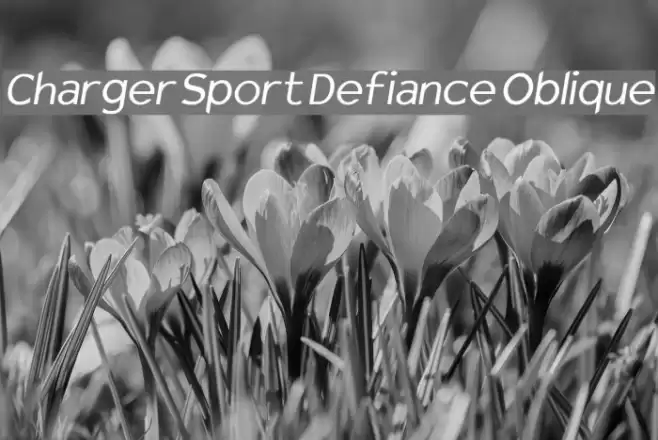 Charger Sport Defiance Oblique Font examples