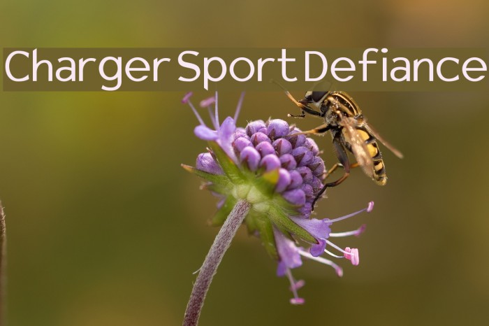 Charger Sport Defiance Font examples
