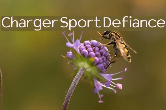 Charger Sport Defiance Example 3
