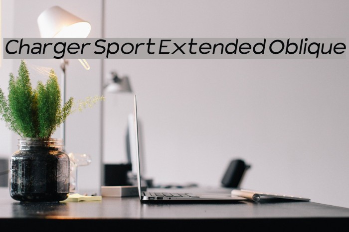 Charger Sport Extended Oblique Font examples