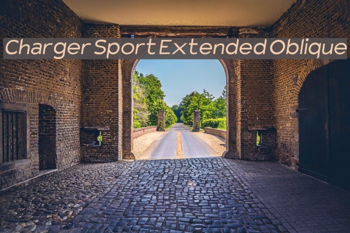 Charger Sport Extended Oblique Font examples