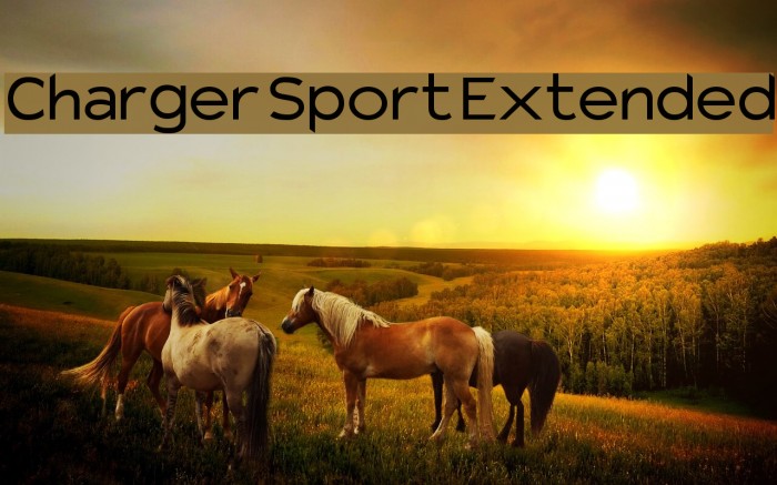 Charger Sport Extended Font examples