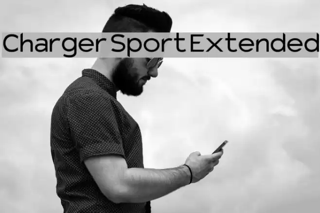 Charger Sport Extended Fuentes examples