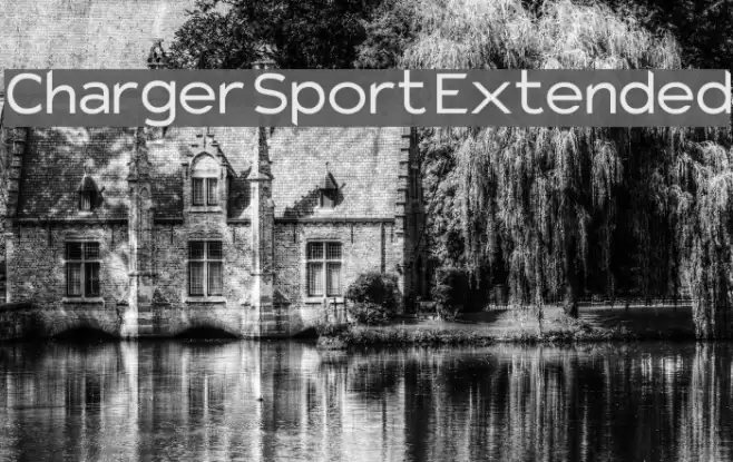Charger Sport Extended Fuentes examples
