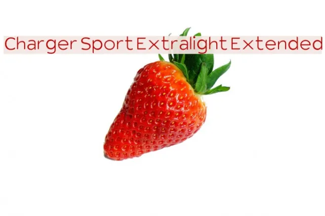 Charger Sport Extralight Extended Example 1