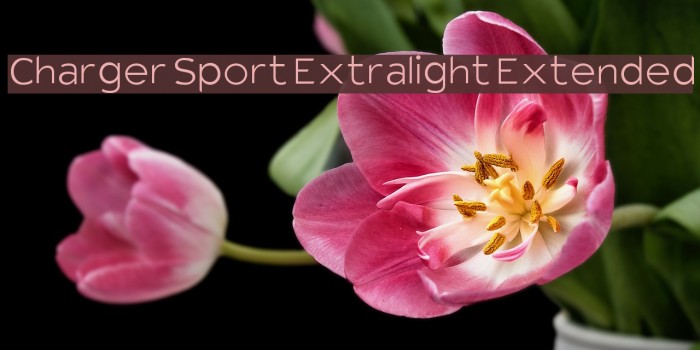 Charger Sport Extralight Extended Font examples