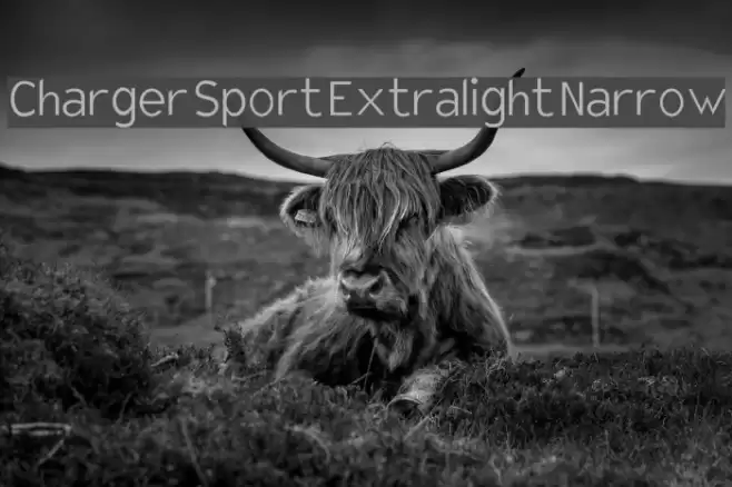 Charger Sport Extralight Narrow Font examples