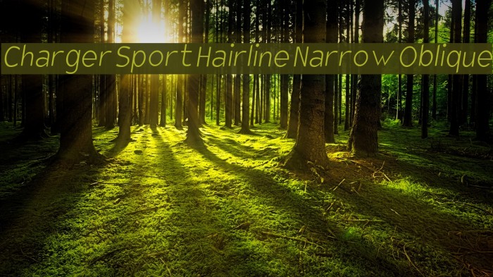 Charger Sport Hairline Narrow Oblique Font examples