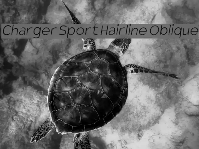 Charger Sport Hairline Oblique Font examples