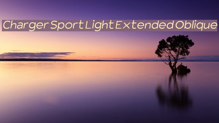 Charger Sport Light Extended Oblique Font examples