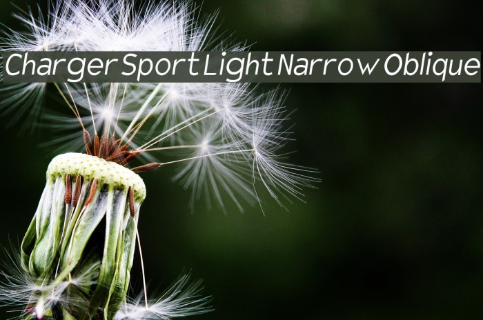 Charger Sport Light Narrow Oblique Font examples