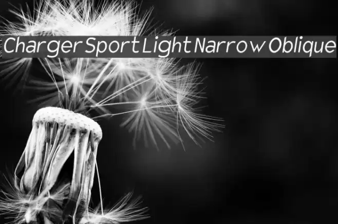 Charger Sport Light Narrow Oblique  examples