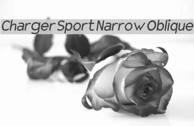 Charger Sport Narrow Oblique examples