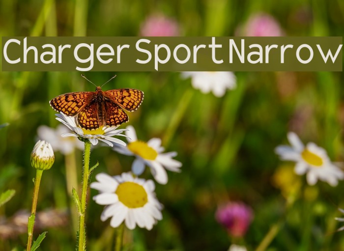Charger Sport Narrow Font examples