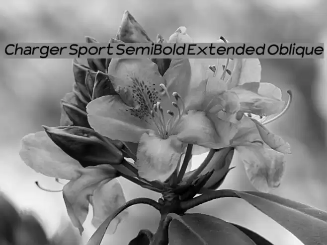 Charger Sport SemiBold Extended Oblique Font examples