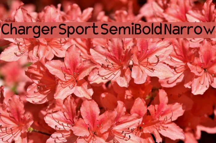 Charger Sport SemiBold Narrow Font examples