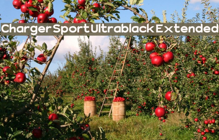 Charger Sport Ultrablack Extended Font examples