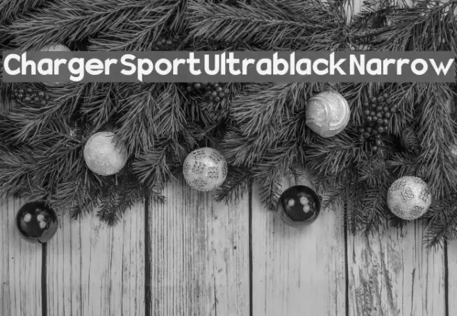Charger Sport Ultrablack Narrow Fonte examples