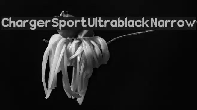 Charger Sport Ultrablack Narrow Fonte examples