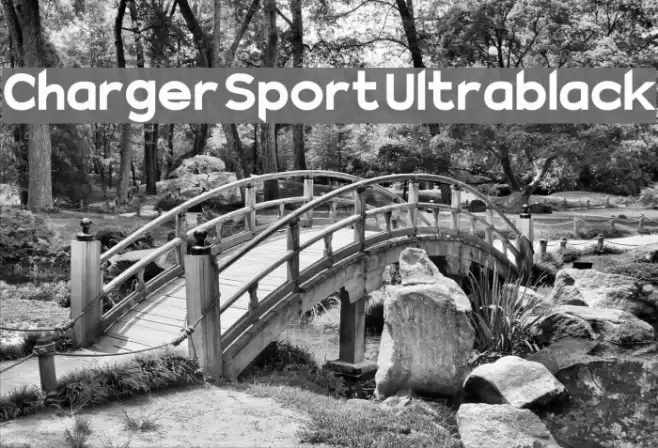 Charger Sport Ultrablack Font examples