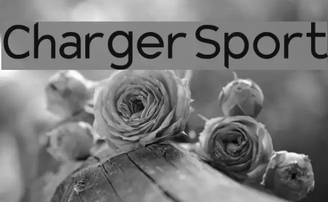 Charger Sport Font examples