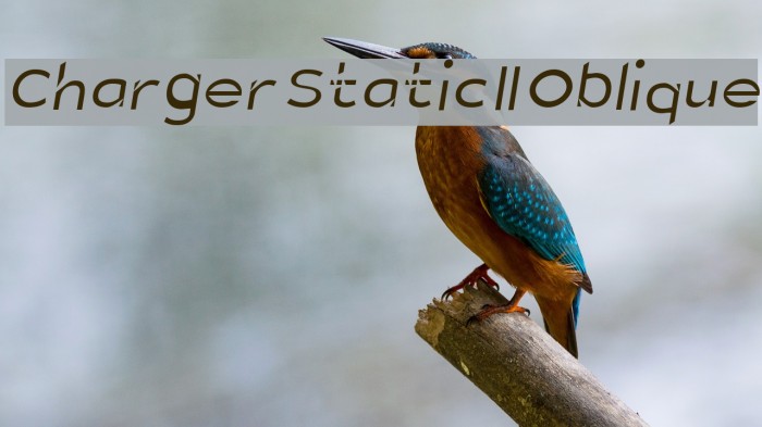 Charger Static II Oblique Font examples