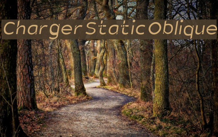 Charger Static Oblique Font examples
