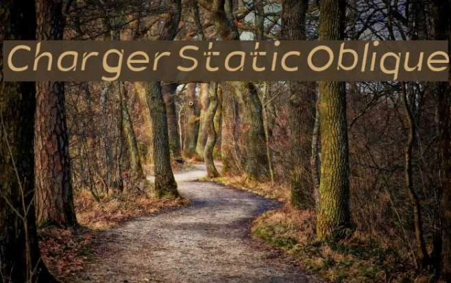 Charger Static Oblique Example 1