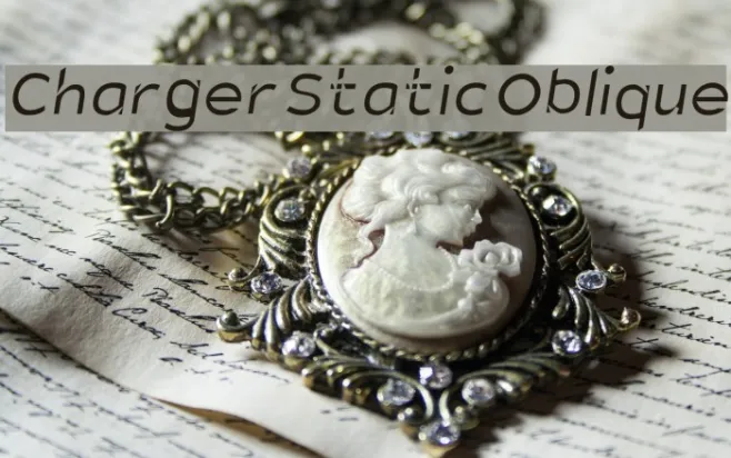 Charger Static Oblique Example 2