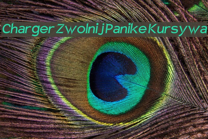Charger Zwolnij Panike Kursywa Font examples