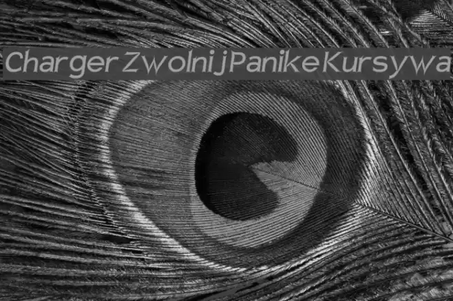 Charger Zwolnij Panike Kursywa Fonte examples