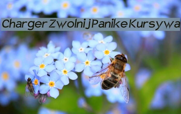 Charger Zwolnij Panike Kursywa Font examples