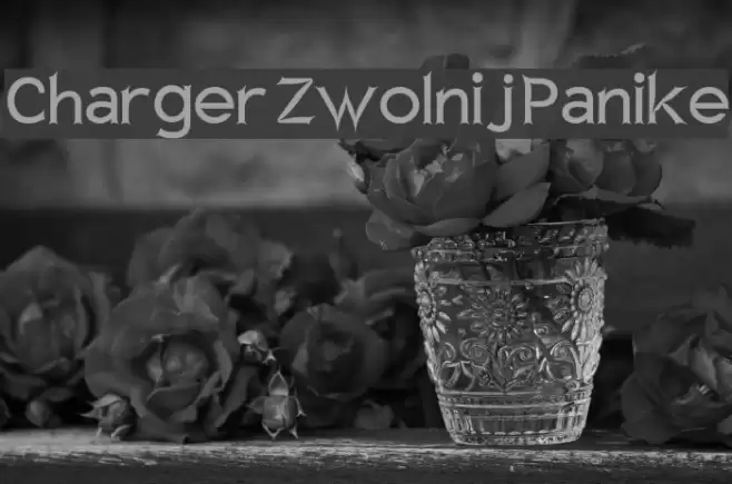 Charger Zwolnij Panike Font examples