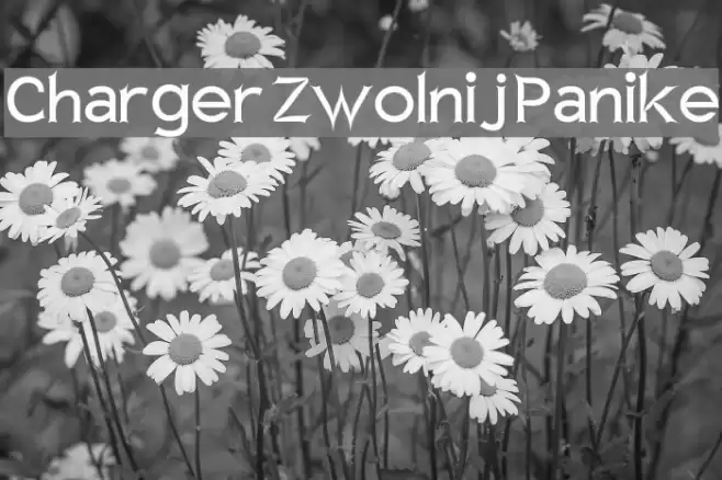 Charger Zwolnij Panike Font examples