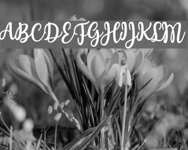 Charilla Font examples