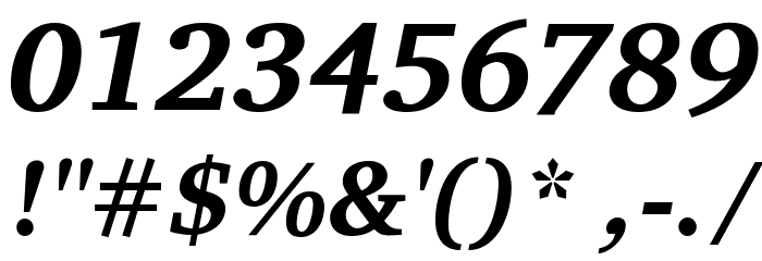 Charis SIL Bold Italic フォント その他の文字
