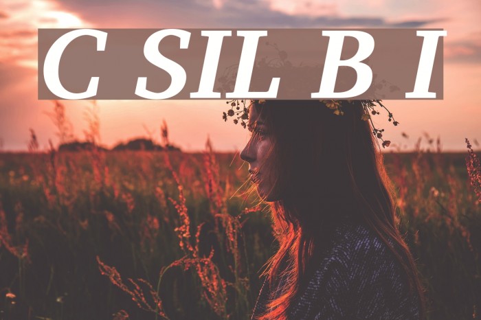 Charis SIL Bold Italic フォント examples